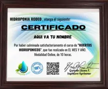 Certificado curso de hidroponía