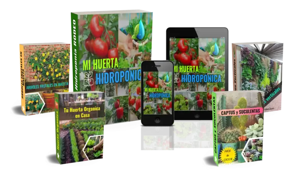 Curso mi huerta hidropónica