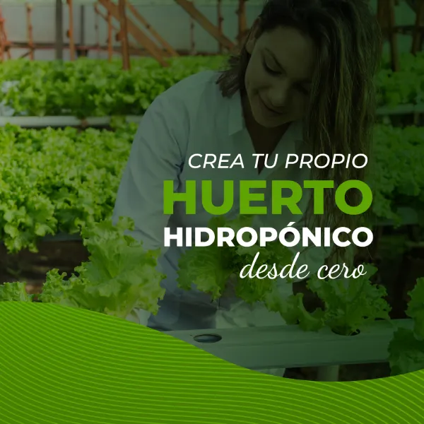 Curso huerta hidropónica