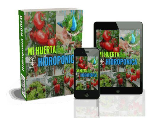 Curso Huerta Hidropónica