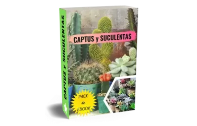 E-book Cactus y Suculentas