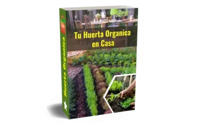 Huertos orgánicos, tu huerto orgánico en casa
